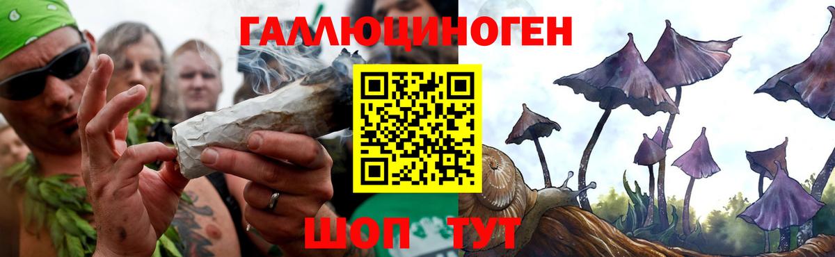 Армавир  Псилоцибиновые грибы MAGIC MUSHROOMS  Вход с VPN 